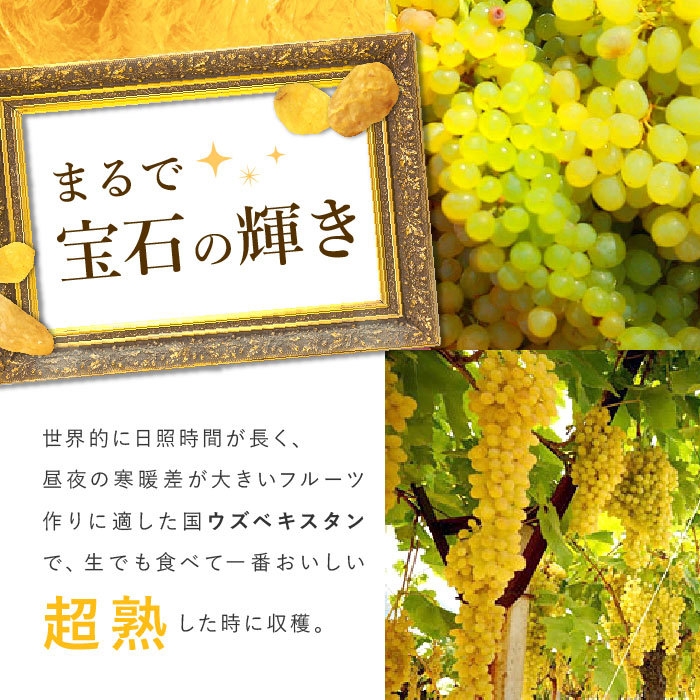 ゴールデンレーズン(2)