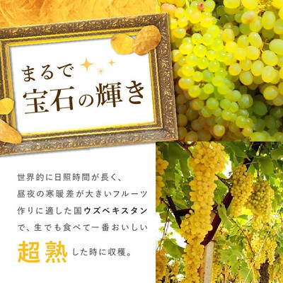 ゴールデンレーズン(2)