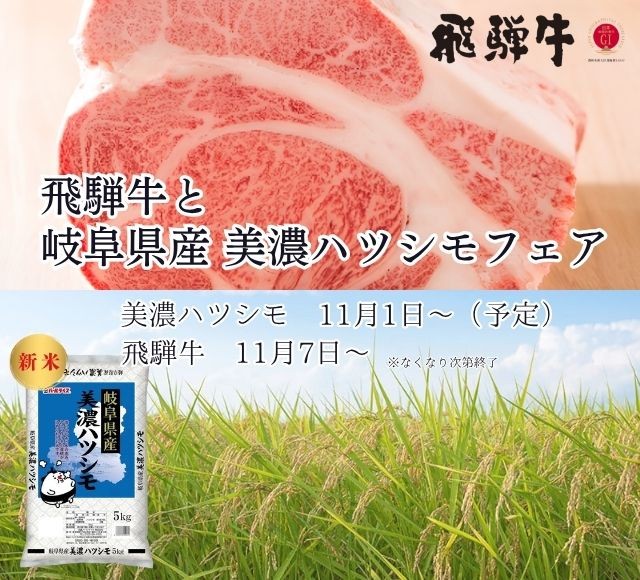 清流と緑が育んだ、飛騨の至宝「飛騨牛」と大粒で食べ応えのある
「美濃ハツシモ」の新米をお届け！みのるダイニング名古屋店で
「飛騨牛と岐阜県産美濃ハツシモフェア」を１１月1日（日）より順次開催