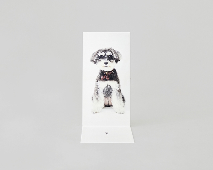 犬専用の等身大フォトブック「ONE BOOK」- ミニチュアシュナウザー