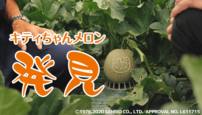 大人気!ハローキティ富良野メロンも栽培