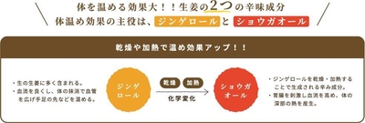 ジンゲロールとショウガオール