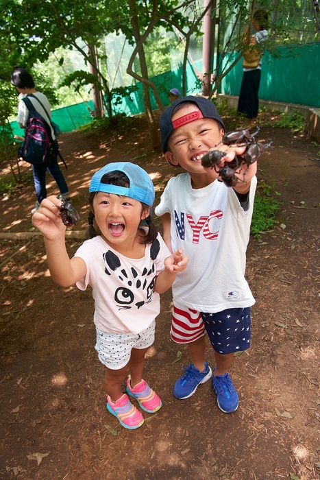 カブトムシドームは子どもたちに大人気