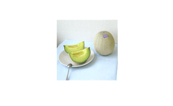 山形県産アンデスメロン