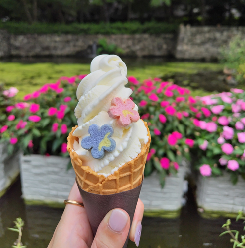 お花のソフトクリーム（450円）