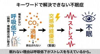 キーワード検索で「不眠症の解決法が見つからない理由」
──医学が見落としてきた「睡眠中の呼吸低下→ストレス」という構造的盲点