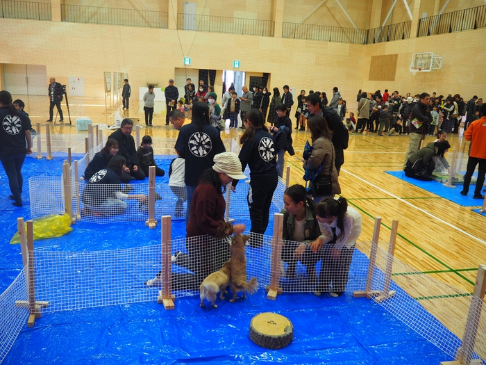 今治キャンパス初の大学祭「第１回ゆめいこい祭」