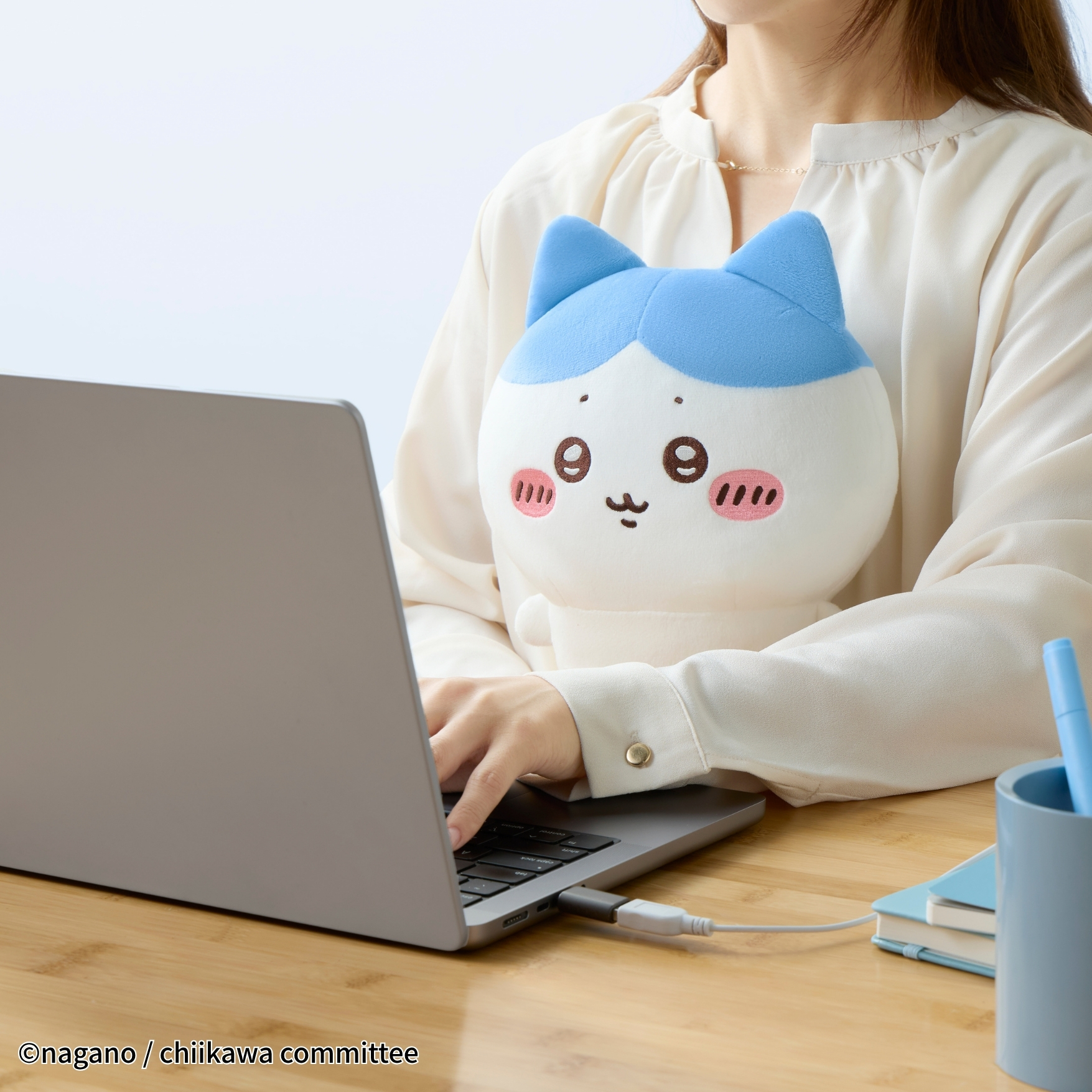 あったかぬいぐるみ ハチワレ イメージ1