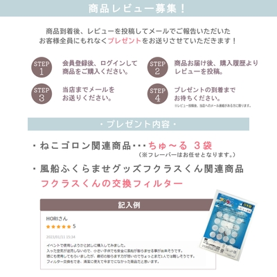 商品レビューでプレゼントゲット!