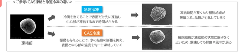 粒だちを維持した無添加辛子明太子 “すっぴんたらこ”を発売