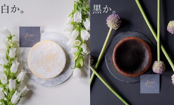 売り切れ続出！人気のJune CHEESECAKEが 新作チーズテリーヌ「ＳＩＲＯＭＵＫＵ」を Makuake限定で6月17日に先行販売開始！