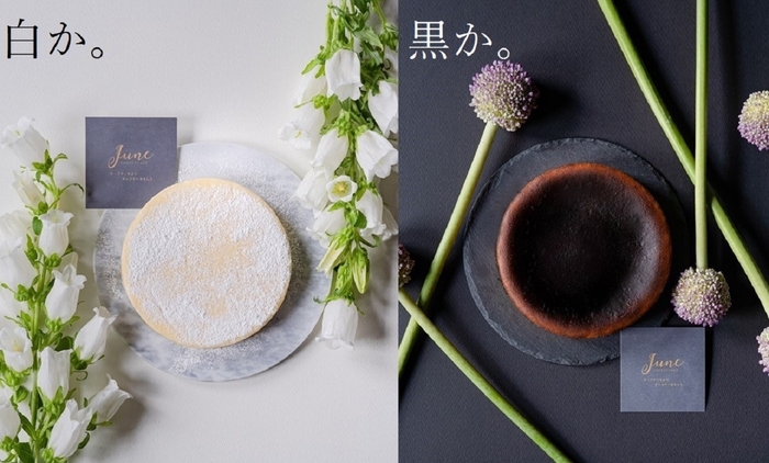 白か。黒か。