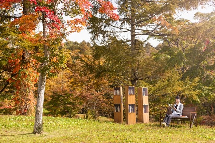 【星野エリア】「紅葉図書館」カラマツの丘