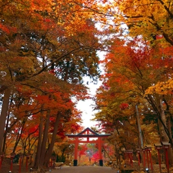 星野リゾート　ロテルド比叡　（京都府 比叡山） 厄年の方へお寺と神社の両方で「やくばらい」を体験 秋の比叡山をめぐる「比叡山やくばらい散歩」を開催 期間：2018年9月1日〜11月30日