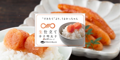 “できたて”を超える“生”食感　漁獲直後の船上1回冷凍。 工場入荷後1度も冷凍しない「生仕立て辛子明太子」、 ついに販売開始！
