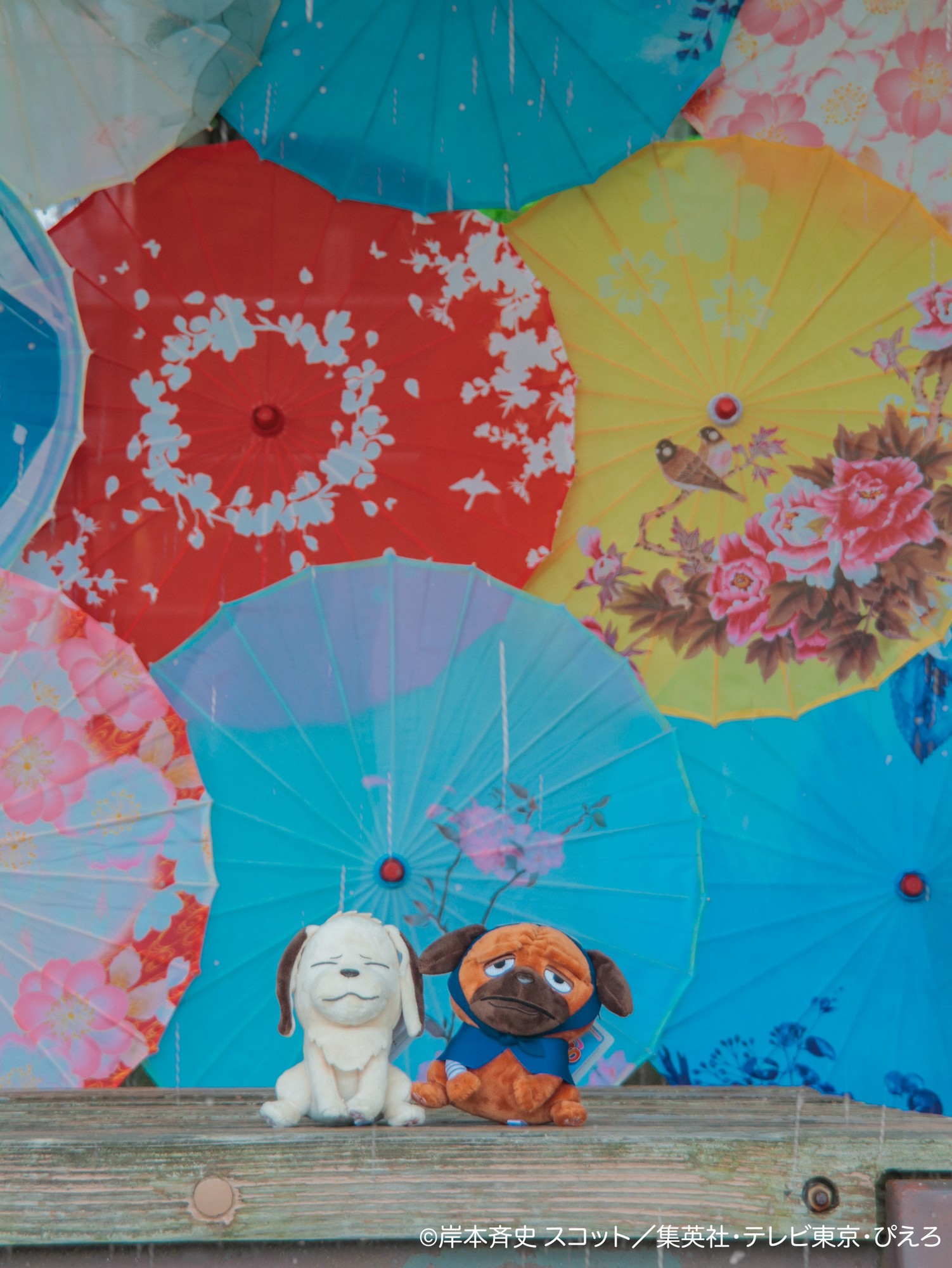 雨が滴る五月雨(さみだれ)の中、忍の世界に映る“あなた”を切り取って
「NARUTO&BORUTO 忍里 五月雨祭2026」
イベント情報第2弾