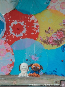 雨が滴る五月雨（さみだれ）の中、忍の世界に映る“あなた”を切り取って
「NARUTO＆BORUTO 忍里　五月雨祭2026」
イベント情報第２弾