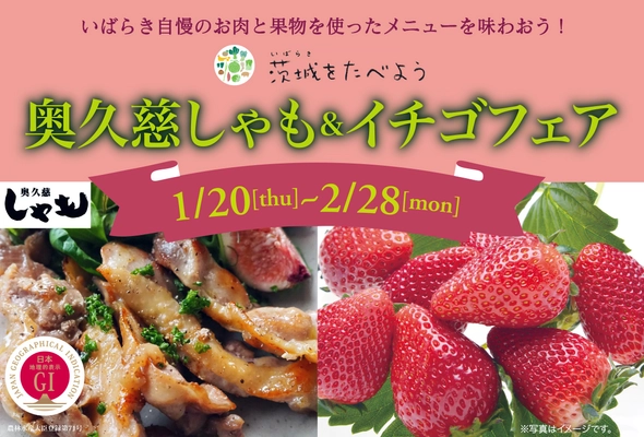 茨城県内レストランメニューフェア 「茨城をたべよう　奥久慈しゃも＆イチゴフェア」を 1月20日(木)～2月28日(月)まで開催