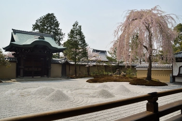 京都の春や桜・寺院を貸し切り！5つの宿泊プランを販売開始　 京都ブライトンホテル　寺院の貸切拝観ほか京繍体験など