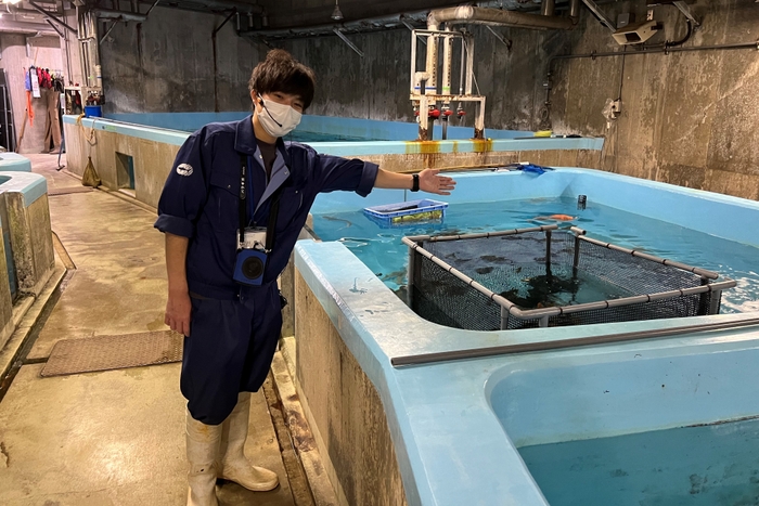 水族館の裏側を1日館長と見学