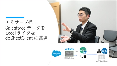 【CData 導入事例】エネサーブが CData JDBC Driver for Salesforceを導入