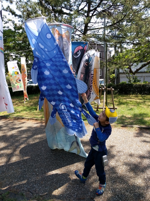 深海魚シーラカンスのぼり