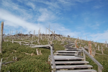 「大台ヶ原直通バス そらかぜ」 事前予約制化＆ラッピング実施＆乗車特典配布