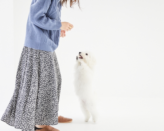 愛犬と遊びながら撮れる自然派写真 2
