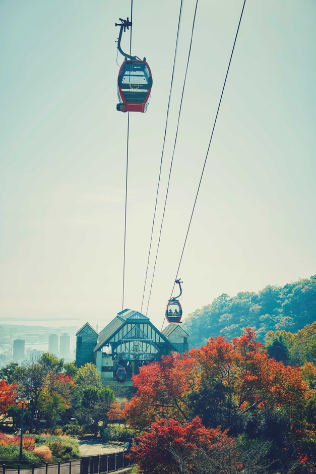 ロープウェイの車窓から眺める紅葉(2)