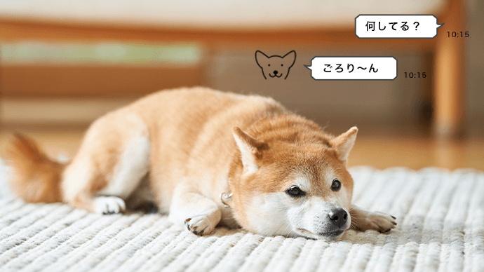 犬 イメージ