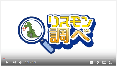 リスモン調べ動画キャプチャ