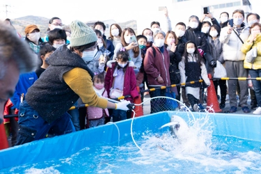 「第31回伊東温泉めちゃくちゃ市」1/25(土)・26(日)開催！ ～伊豆半島の特産品を“めちゃくちゃ市”価格で買える～