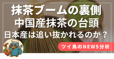 国内外のニュース解説記事例2