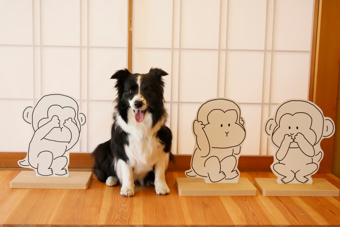 茶室をイメージした＜フォトスタジオ＞