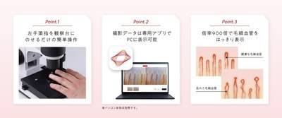 ポイント