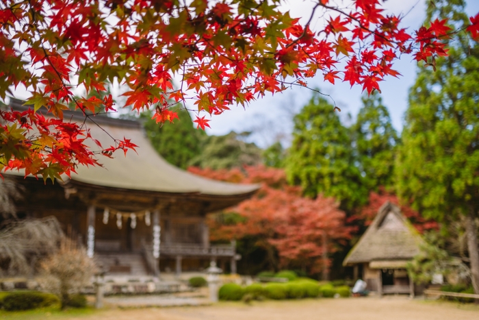 秋の寺社仏閣(神宮寺)