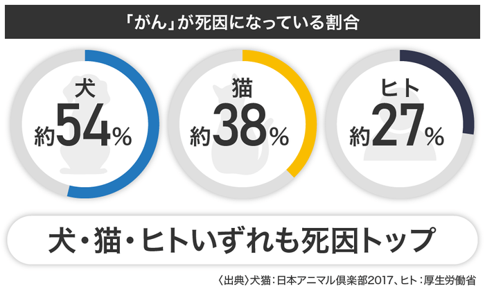 イヌの死因の2頭に1頭は「がん」