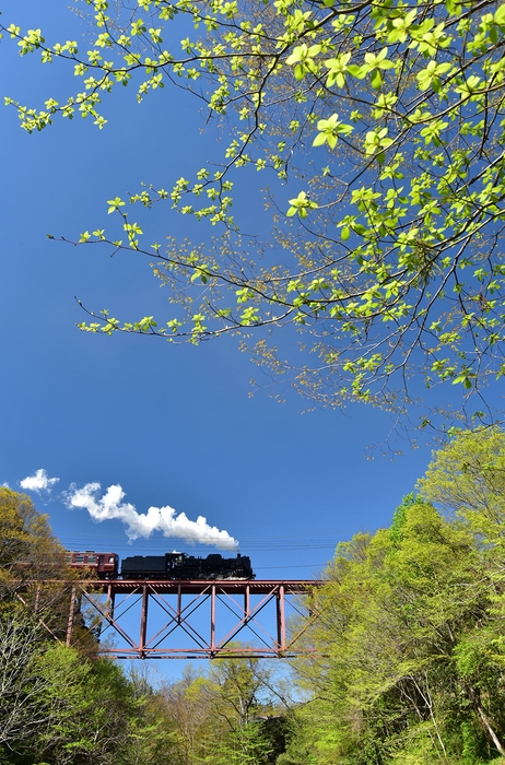 SLパレオエクスプレス3