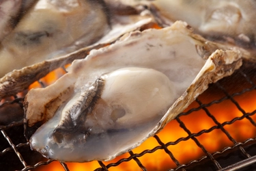 高知に海鮮浜焼き・牡蠣食べ放題を提供する海鮮居酒屋が登場 　オープン記念に“980円”で牡蠣食べ放題を11/16～実施