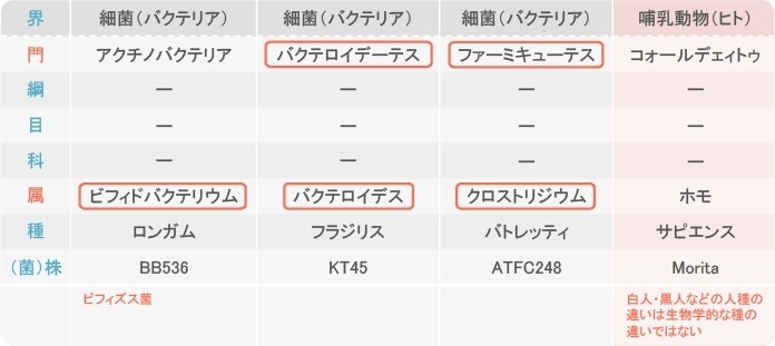 生体の分類と菌(株)の位置づけ