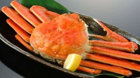 【楽天トラベル ブロンズアワード受賞】カニと温泉を楽しむ冬旅が、今からでも間に合う！/ 京都府京丹後市夕日ヶ浦温泉「夕日浪漫　一望館」