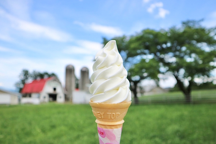 のどかな風景を眺めながら味わうソフトクリームもまた格別