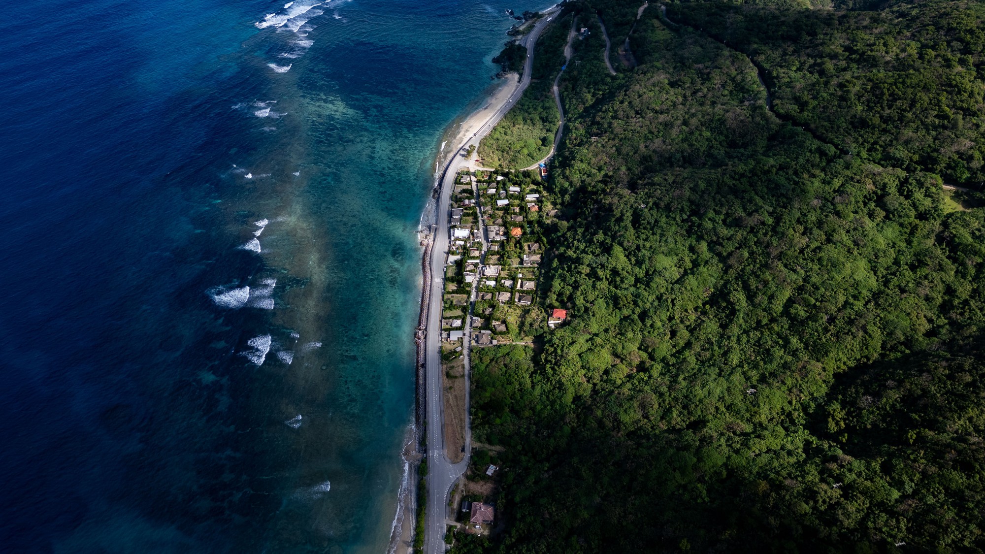 やんばるホテル南溟森室 新棟開業祝い　ー神宿る古集落 ― 水彩画 × 琉球ミクソロジー