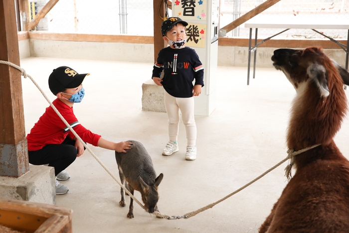 トリアスふれあい動物園の様子(1)