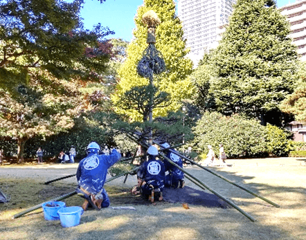 過去開催の様子(雪吊り)