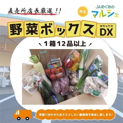 〇店長厳選!!野菜ボックスDX12品以上!【3月中旬~4月発送】