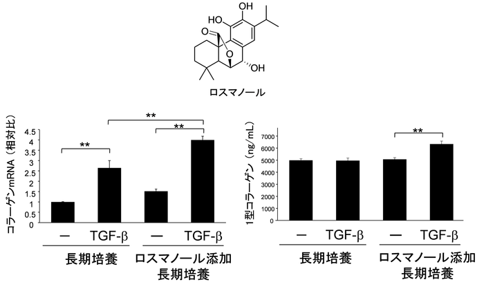 図3