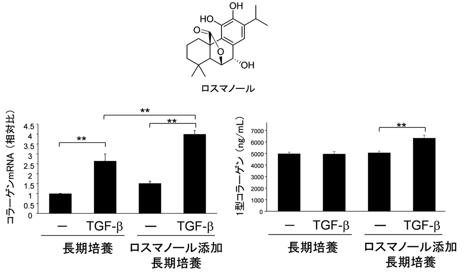 図3