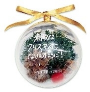 オーナメント(イメージ)