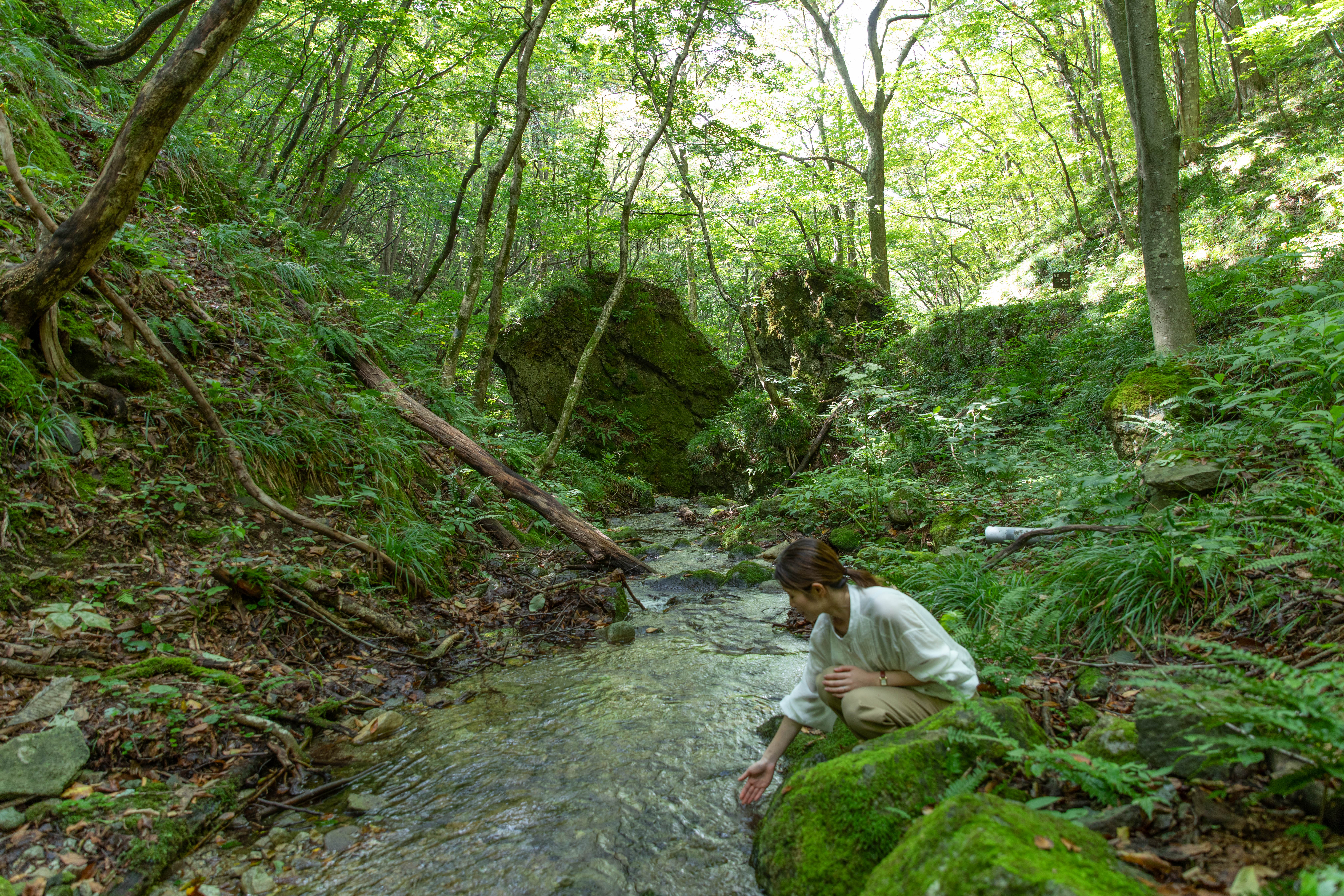 仙台で癒しのリトリート 作並温泉のパワースポットをプチトレッキング！「夫婦岩」を目指す癒しの散策路へ